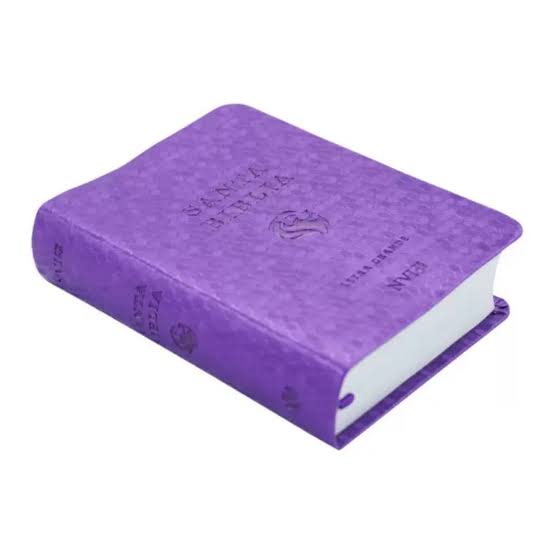 Biblia Panal, Color Violeta, NVI