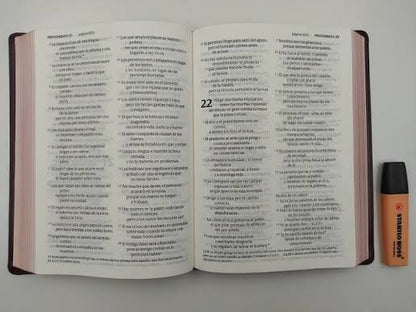Santa Biblia, Edición Clásica Color Vino, Letra Gigante - Ntv