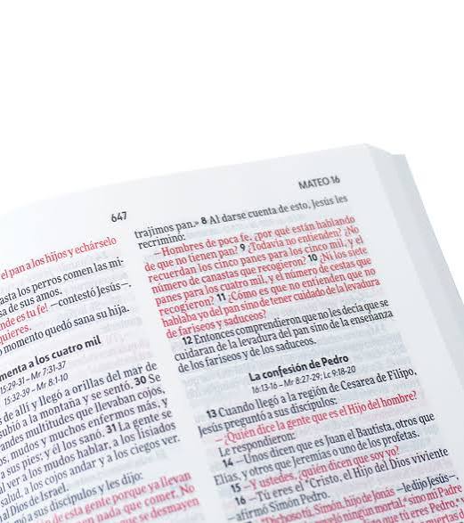 Biblia Excelencia Ultra Fina Tapa Rústica Verde - Nvi