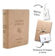 Santa Biblia Letra Grande - NVI