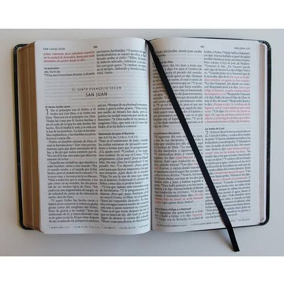 Biblia Letra Grande Tamaño Manual, Símil Piel León de Juda, RVR1960