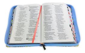 Biblia para Mujer Letra Gigante Manual 14 puntos, Imitacion piel celeste floral con indice, RVR1960