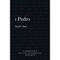 Libro 1 Pedro Comentario Nuevo Testamento - David Burt