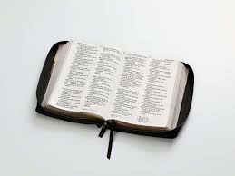 Biblia RVR060 068 cz Tricolor beige/café/negro