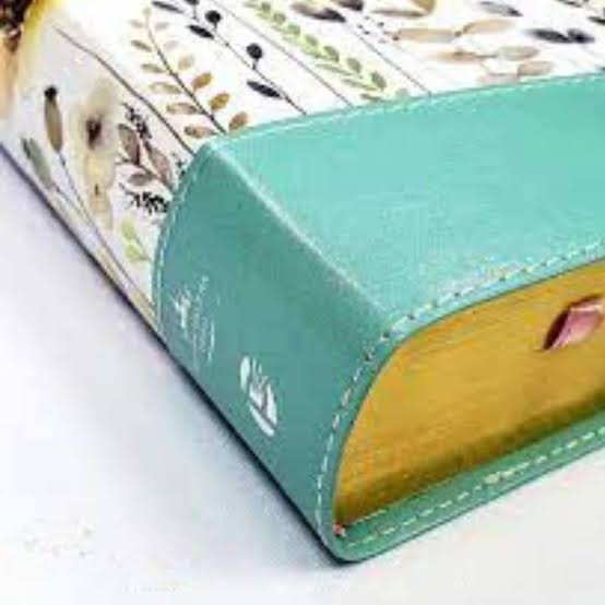 Biblia de la mujer conforme al corazón de Dios