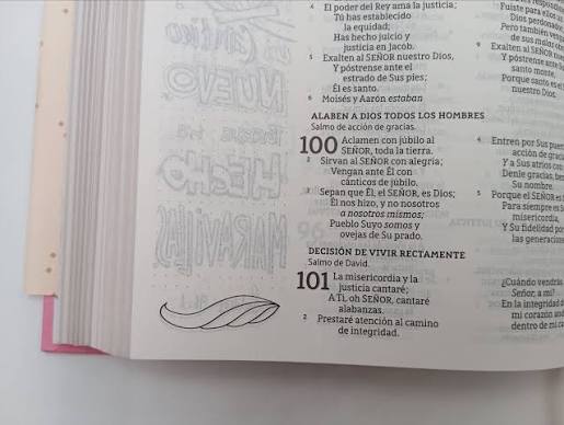 Biblia, Edición Artística Ilustrada, Tapa dura/tela, Rosado, Palabras de Jesús en Rojo, Comfort Print, NBLA