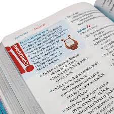 Biblia Go Para Niños Ntv Sentipiel, Verde Azulado