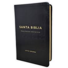 Biblia Para Tus Notas Personales, Negro - Nvi
