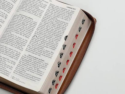 Biblia Letra Grande, Inspiración Águila Café, RVR 1965 Rvr065Lg Czti Pjr Inspiración Águila Café/Café/Café