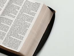 Biblia RVR060 068 cz Tricolor beige/café/negro