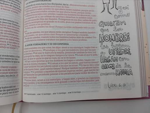 Biblia, Edición Artística Ilustrada, Tapa dura/tela, Rosado, Palabras de Jesús en Rojo, Comfort Print, NBLA