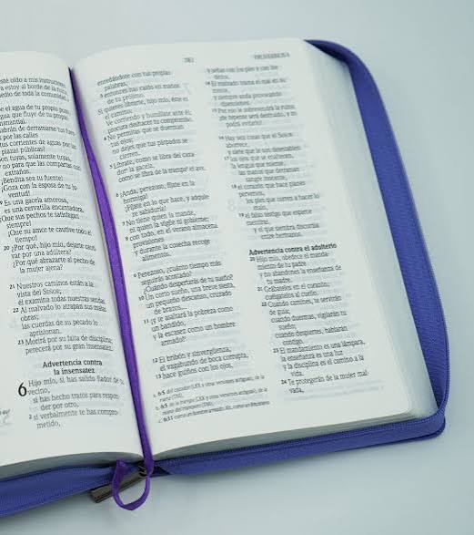 Santa Biblia Con Cierre, Letra Grande, Lila, Nvi