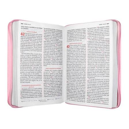 Biblia, Color Rosado, Canto Pintado, Con Cierre, Rv1960