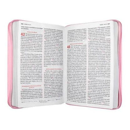 Biblia, Color Rosado, Canto Pintado, Con Cierre, Rv1960