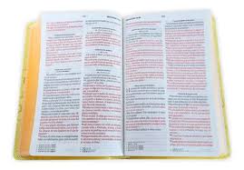 Biblia Obsequios Y Premios Rvr60C Amarillo Abejas