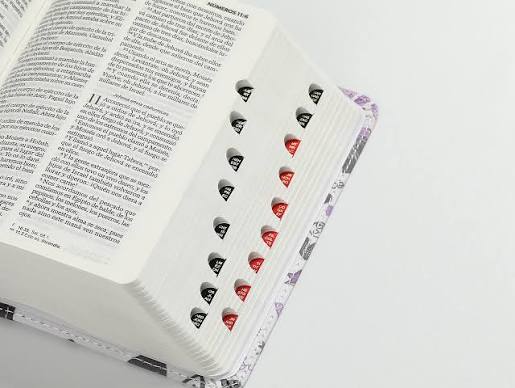 Biblia Para Jovenes Tamaño Bolsillo Rv1960 Piel Lila