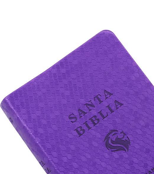 Biblia Panal, Color Violeta, NVI