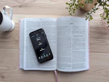 Biblia NTV Rosada Letra Grande, Valor Premium Filament