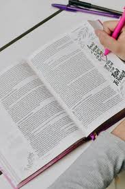 Biblia, Edición Artística Ilustrada, Tapa dura/tela, Rosado, Palabras de Jesús en Rojo, Comfort Print, NBLA