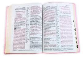 Biblia de Referencia NTV, sentipiel rosa con índice