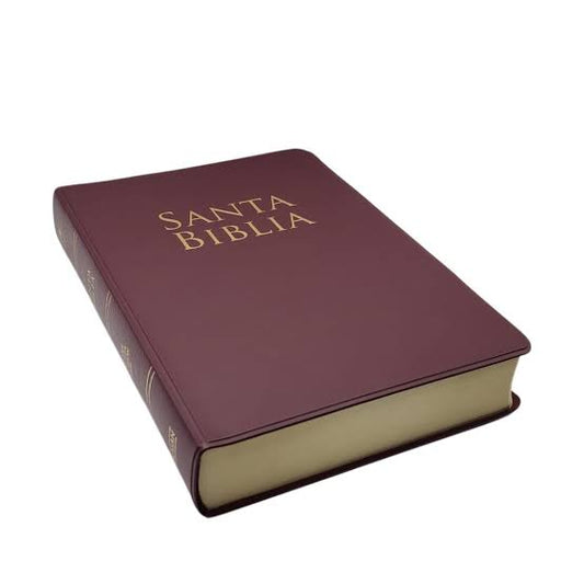 Biblia Letra Grande, Tamaño Manual - Rvr 1960