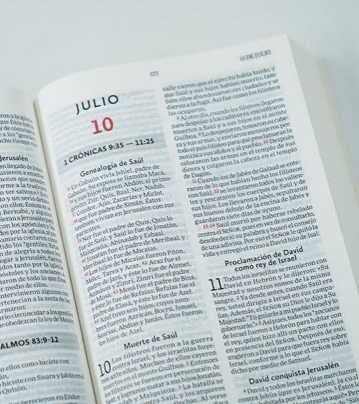 Biblia Para Leer En Un Año, Rústica Naturaleza 1 - Nvi