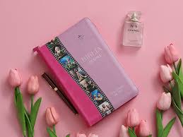 Biblia Rvr60 065 Héroes Imitación Piel Rosa/Rosa Con Cierre