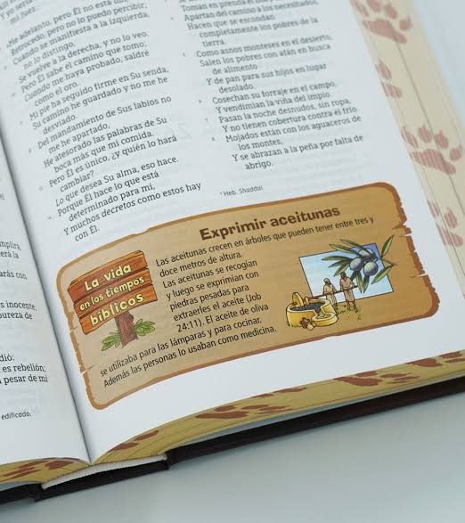 Biblia, Aventura para niños, León Tapa Dura, NBLA