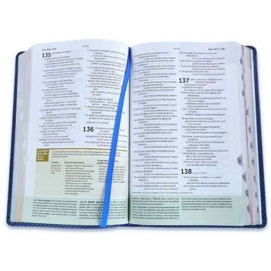 Biblia De Estudio Del Diario Vivir Para Jóvenes, Color Azul, Ntv