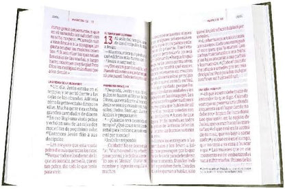 Biblia, En Español, Tapa Dura, Color Marron, Letra Super Gigante, Tla