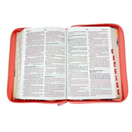 Biblia Manual L.G, Beige Flores, Cierre Indice, RVR60