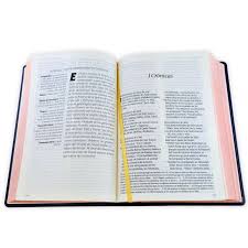 Santa Biblia Edición Clásica, Letra Gigante Sentipiel Azul - Ntv