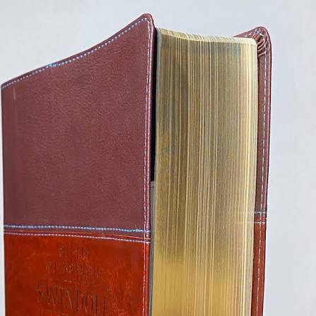 Biblia De Estudio Swindoll, Café - Ntv