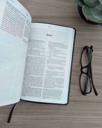 Biblia Ultrafina Ntv, Con Filament Sentipiel Negro Con Índice