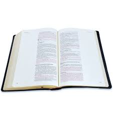 Biblia Para Tus Notas Personales, Negro - Nvi