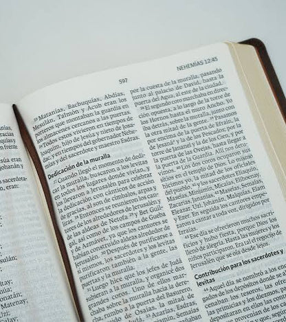 Biblia Letra Gigante, Piel Marrón - Nvi