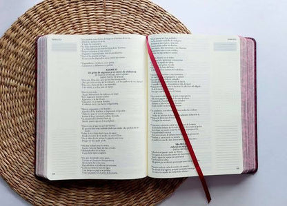 Biblia, Biblia De Apuntes, Tapa Dura, Vino Tinto, Canto Pintado, RVR1960