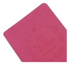 Santa Biblia Fucsia - Nvi