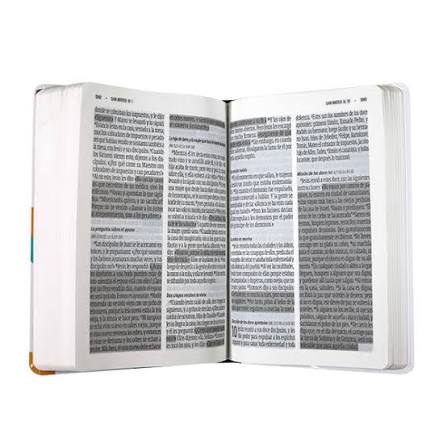 Biblia Rvc Letra Gigante