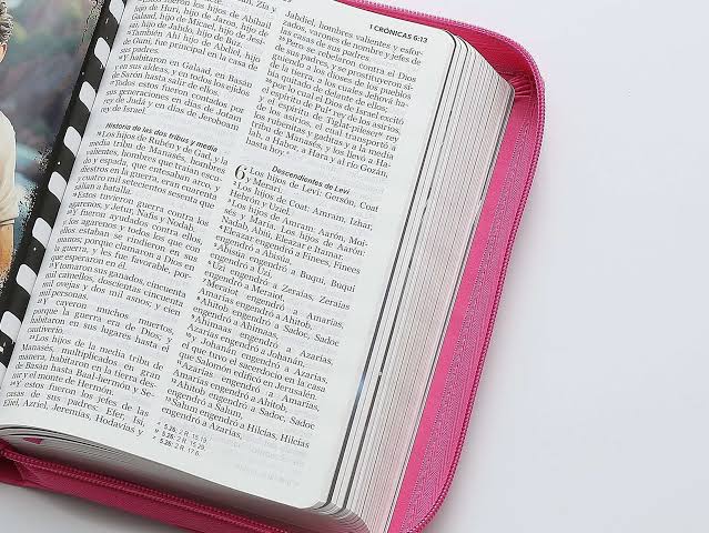 Biblia Rvr60 065 Héroes Imitación Piel Rosa/Rosa Con Cierre