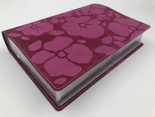 Santa Biblia Thompson Rosada Edición Especial Para Estudio - Rvr 1960
