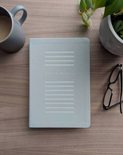 NTV Biblia Valor Prémium, Letra Grande