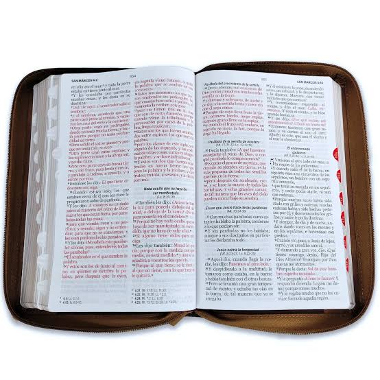 Biblia Letra Grande, Inspiración Águila Café, RVR 1965 Rvr065Lg Czti Pjr Inspiración Águila Café/Café/Café