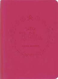 Santa Biblia Fucsia - Nvi