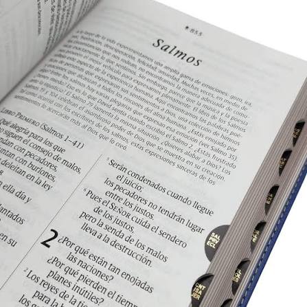 Biblia Manual Ntv, Letra Grande Con Filament, Color Azul Oscuro/ Hojas