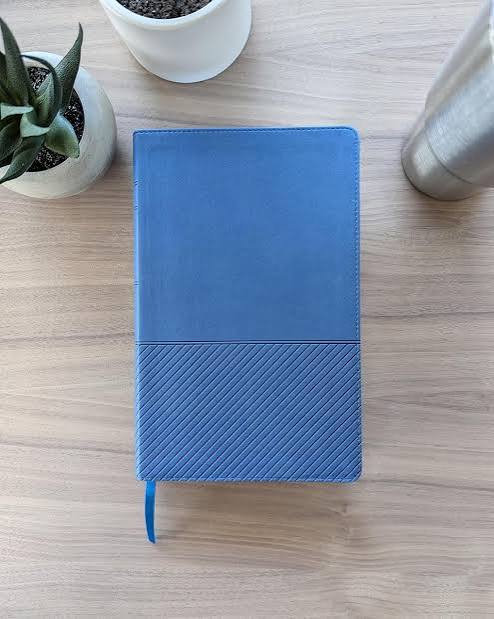 Biblia De Estudio Del Diario Vivir Para Jóvenes, Color Azul, Ntv