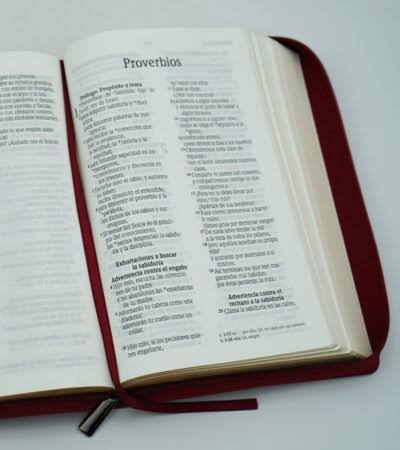Santa Biblia Con Cierre, Letra Grande, Vino, Nvi