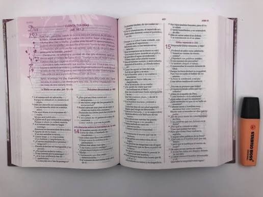 Biblia De La Mujer Conforme Al Corazón De Dios Rvr 1960: Tapa Dura -  Elizabeth George