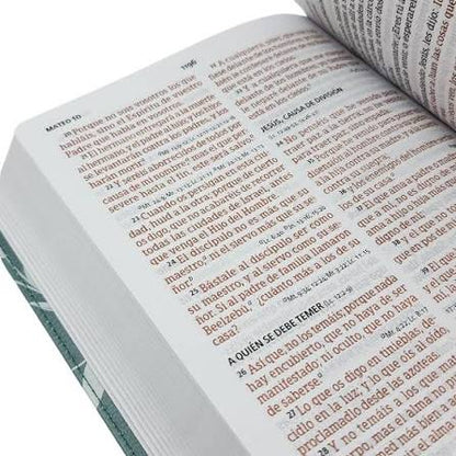RVR 1960 Biblia letra grande tamaño manual edición especial, verde, símil piel