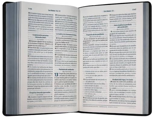 Biblia Letra Grande, Color Gris, Rvc